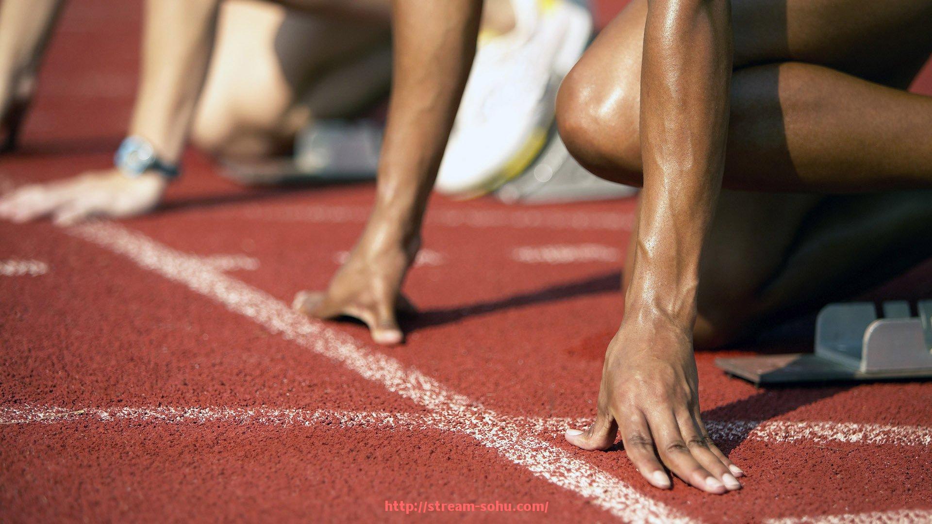 搜狐体育直播-揭秘世俱杯赛季主赞助商：品牌背后的合作逻辑与商业价值